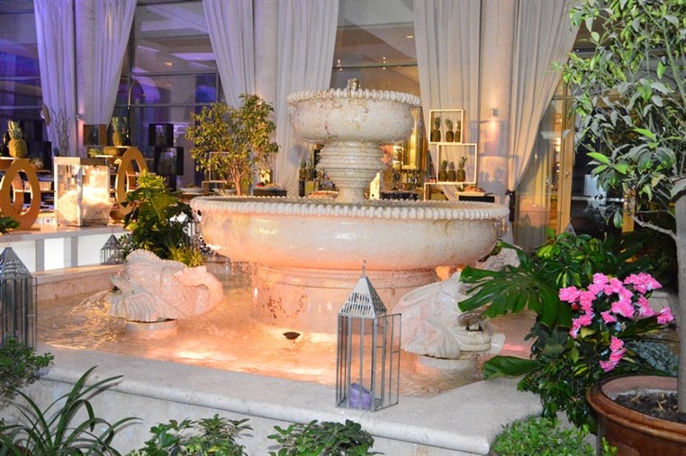 Amethyste Summer Party